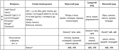 Обучающий плакат «Изучаем падежи», 170 г/м2, А4 по оптовой цене в Астане