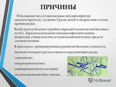 Геката - 🧐Паховая эпидермофития- это грибковое заболевание, локализованное  в складках кожи паховой области. Без должного лечения болезнь способна  перейти в хроническую форму с обострениями в летний период. ❗️ПРИЧИНЫ В  большинстве случаев паховая