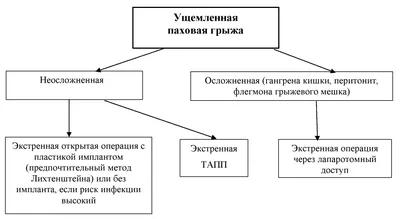 Паховая грыжа | Клиника Добрый Доктор г. Красноярск