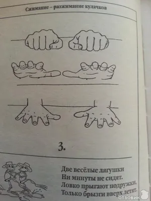 Пальчиковая гимнастика : Популярная логопедия : Анищенкова Елена Степановна  : 9785171156282 - Troyka Online