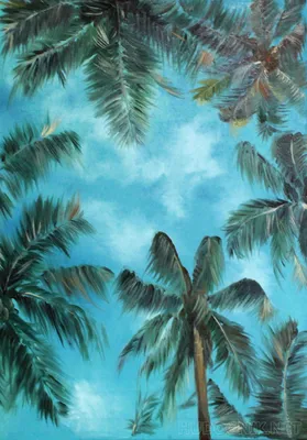 Пальмы в Калифорнии стоковое фото. изображение насчитывающей свеже -  174311784