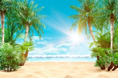 Экологи Актау: искусственные пальмы на побережье могут представлять  опасность - Новости | Караван