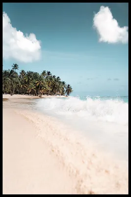 Море и пальмы. | Пальмы, Обои, Фотографии