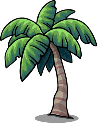 четыре высокие пальмы на белом фоне, пальмы картинки фон картинки и Фото  для бесплатной загрузки