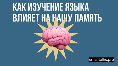 Как развить фотографическую память. Тренировка мгновенной памяти.