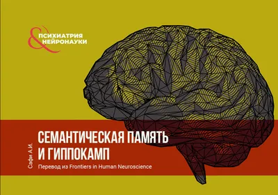 Как освободить память iPhone без удаления нужных файлов: 29 октября 2021,  09:06 - новости на Tengrinews.kz