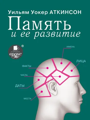 Концентрация внимания влияет на краткосрочную память сильнее всего -  Индикатор