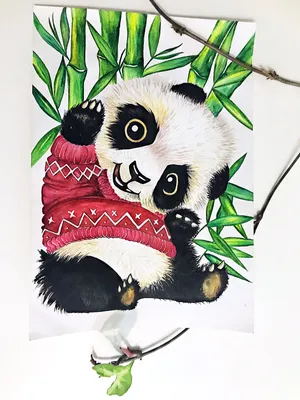 Легкие картинки для срисовки начинающим (50 рисунков) | Cute panda drawing,  Panda drawing, Panda sketch