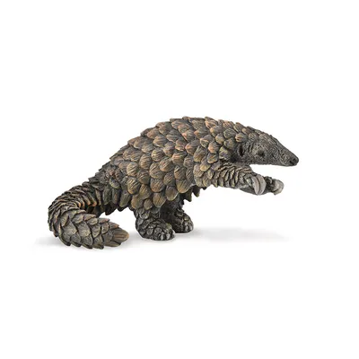 Adopt a Pangolin | Symbolic Adoptions from WWF