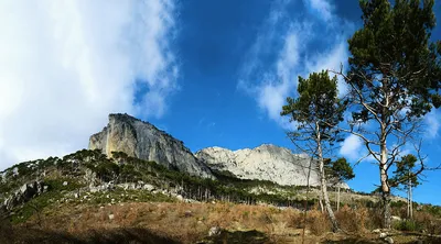 Панорамное фото. Некотрые аспекты панорамной фотографии