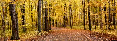 Фотообои Панорамное окно с выходом на пляж артикул Wi-024 купить в  Екатеринбурге | интернет-магазин ArtFresco