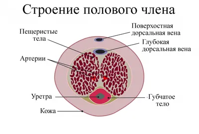 Лазерное удаление папиллом - эффективно и безопасно