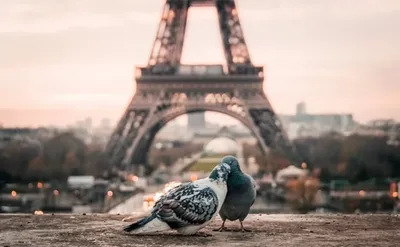 Paris, France. Places to see in Paris - YouTube