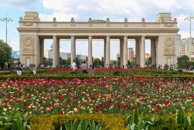 На входе в Парк Горького появится световая инсталляция - Московская  перспектива