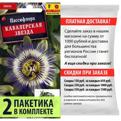 Пассифлора \"Caerulea\" (40 см)