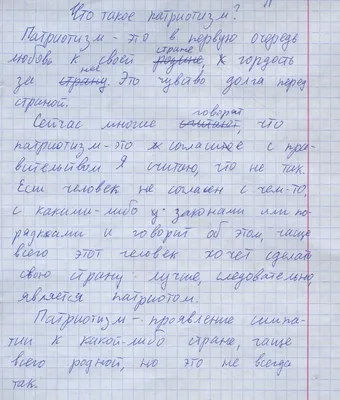 Истинный патриотизм нельзя путать с национальным чванством — глава  государства