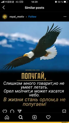 Пацанские цитаты от недавно возобновившего карьеру Конора 😅 | Instagram