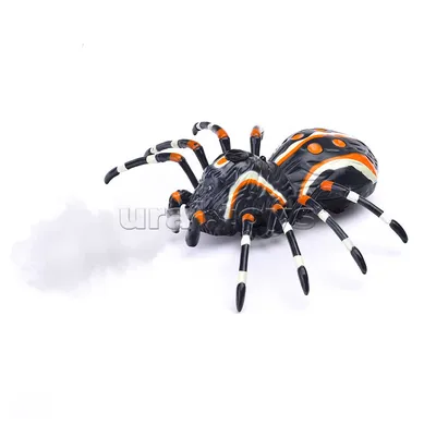 🕷 Araneus marmoreus 🕷 (Мраморный крестовик) Данный вид паука принадлежит  семейству Araneidae.. | ВКонтакте