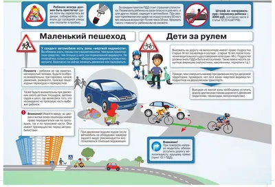 Памятка по правилам езды на велосипеде и мопеде | Чапаевский  химико-технологический техникум