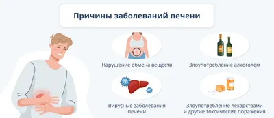 Печень человека может восстанавливаться, как хвост у ящерицы | Mongol | Дзен