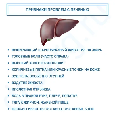 Кожный зуд при хронических холестатических заболеваниях печени – тема  научной статьи по клинической медицине читайте бесплатно текст  научно-исследовательской работы в электронной библиотеке КиберЛенинка