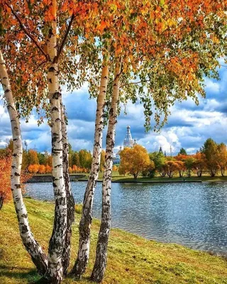 Осень, Париж, городской пейзаж …» — создано в Шедевруме