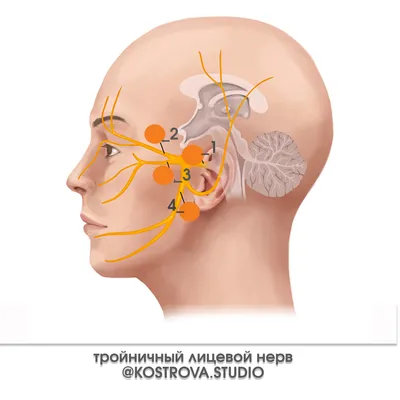 Купить Одеяла с цветочным принтом для новорожденных, пеленание  новорожденного с повязками на голову, спальный мешок для малышей, теплый и  | Joom