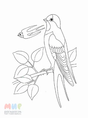 Плакат 440х590мм Перелетные птицы - | Купить с доставкой в книжном  интернет-магазине fkniga.ru | ISBN: 978-5-00033-999-2 00006