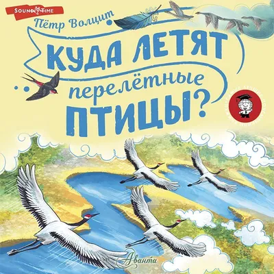 Холодно и голодно. Почему перелётные птицы прибывают на Урал с опозданием?  | Экология | ОБЩЕСТВО | АиФ Урал