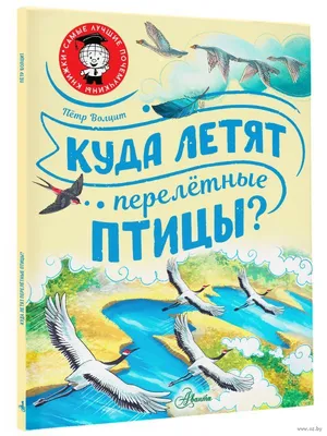 перелетные птицы в национальном птичьем заповеднике Хула расположенном на  севере Израиля :: vasya-starik Старик – Социальная сеть ФотоКто