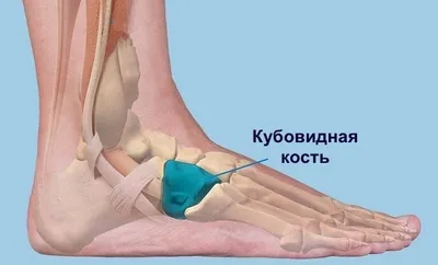 Перелом стопы человека. огромный пурпурный синяк на ноге мужчины. | Премиум  Фото