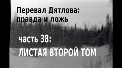 Грязовчанин выдвинул свою версию гибели группы Дятлова