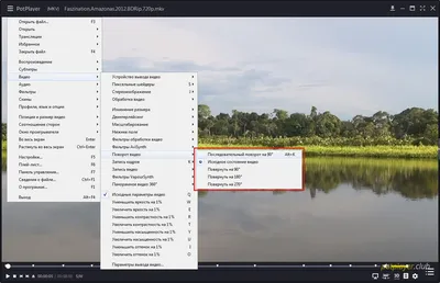 Как повернуть видео в PotPlayer - 90°, 180 или 360°