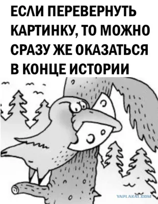 перевернуть текст 2023, кувырок, перевернуть текст, 2023 фон картинки и  Фото для бесплатной загрузки