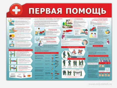 Первая помощь при кровотечении, перегревании, ожогах | ГБУЗ особого типа  \"МТНПЦМК (ЦЭМП) ДЗМ\"