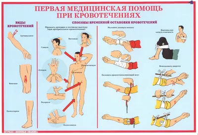 Первая помощь - Медицинский колледж №1