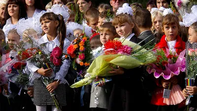 Бесплатные шаблоны открыток с Днем Знаний 1 сентября | Скачать макет и  дизайн открыток с Днем Знаний 1 сентября онлайн | Canva