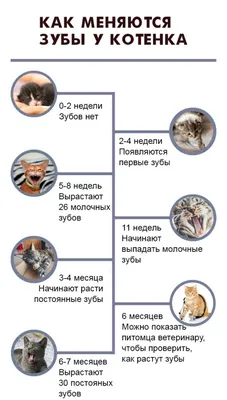 Чем помочь грудничку, когда у него режутся зубки - Статьи о детском питании  от педиатров и экспертов МАМАКО