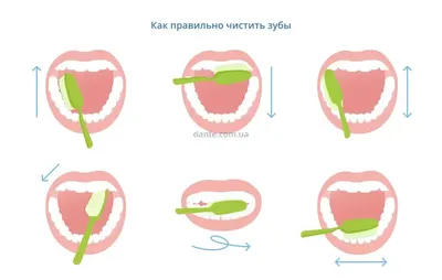 Развитие ребенка в 3 месяца жизни: что «должен» уметь малыш, особенности  ухода за мальчиками и девочками