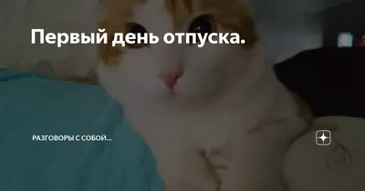 Когда лучше идти в отпуск в 2024 году | Банки.ру