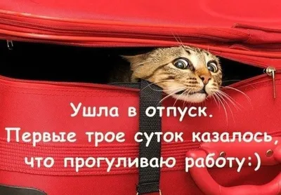 Как выжить в первый день на работе после отпуска? | Заметки молодой мамы |  Дзен