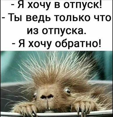 Успешная работа после отпуска