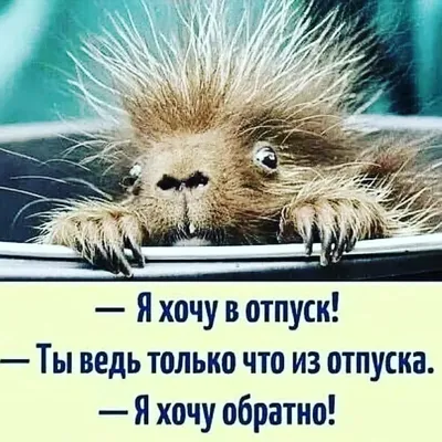 Первый день после отпуска самый сложный : r/Pikabu