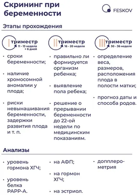 Пренатальный УЗИ-скрининг 1 триместра при беременности (12 недель) -  Клиника Академия-ВИП