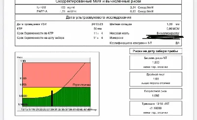 Когда делать скрининг беременности 1,2,3 триместра — блог медицинского  центра ОН Клиник