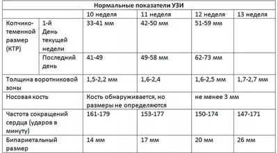 Пренатальный / Перинатальный скрининг - «Ходила на скрининг 3 раза  бесплатно! Правильные ли показатели? И верно ли показывает вес? Стоит  ходить или можно пропустить? Сколько стоит скрининг в платных клиниках? +  мои