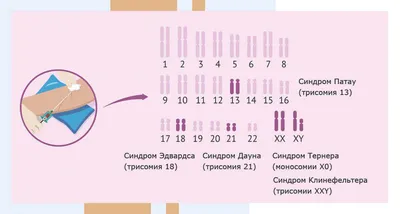 Пренатальный скрининг трисомий I триместра беременности (включает бета-ХГЧ  свободный и PАPP-А, PRISCA-I) сдать анализ со скидкой до 50%! -