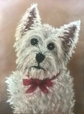 Купить Картина портрет собачки собака песик | Skrami.by
