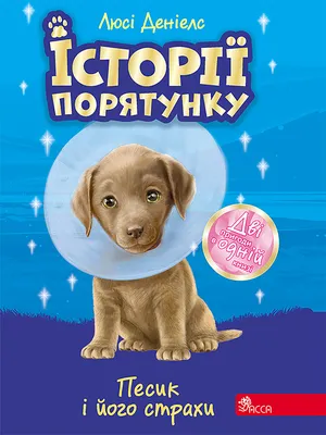 Игрушка музыкальная Chicco Песик Dog Remi - купить в Киеве, Украине, цены в  интернет-магазине Avtokrisla.com