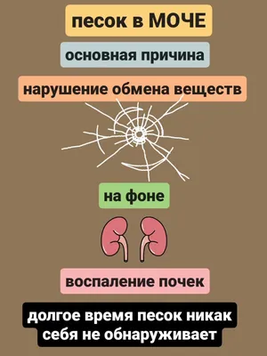 Цистит у кошек и котов